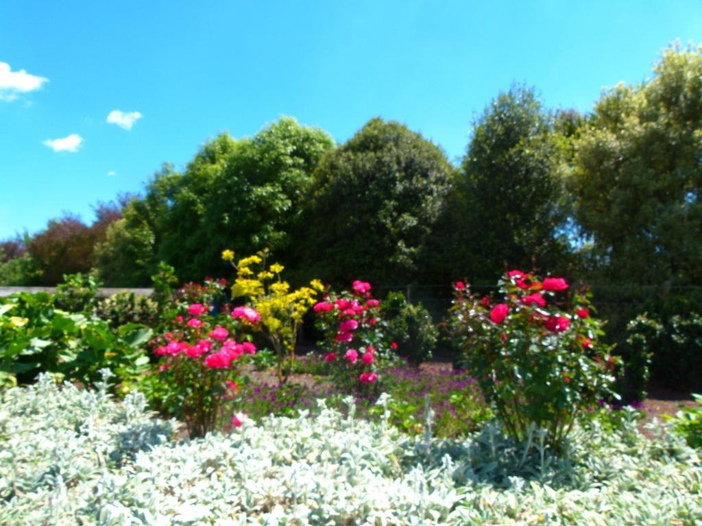 Hadleigh Boutique Lodge Tamahere Esterno foto