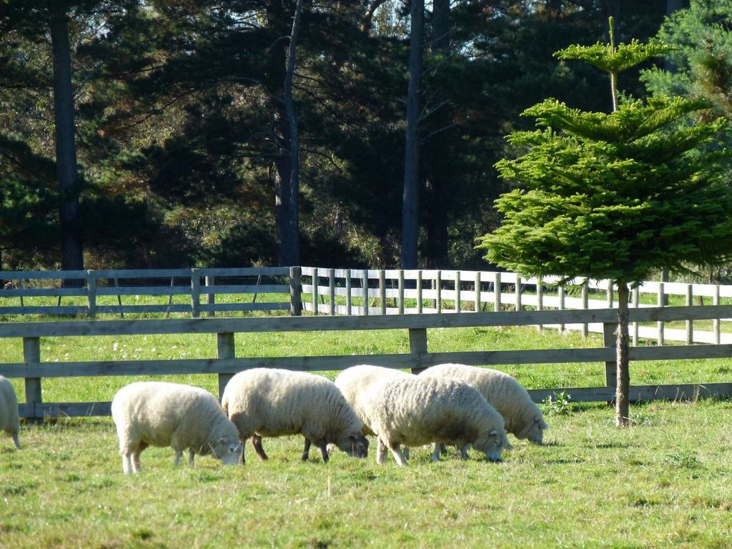 Hadleigh Boutique Lodge Tamahere Esterno foto