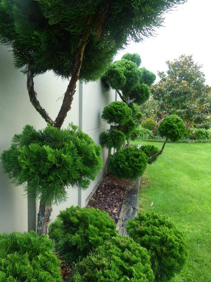 Hadleigh Boutique Lodge Tamahere Esterno foto