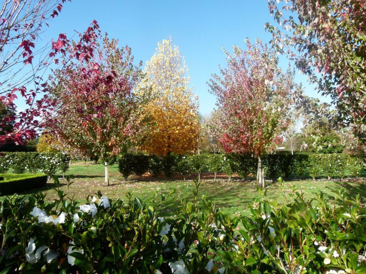 Hadleigh Boutique Lodge Tamahere Esterno foto