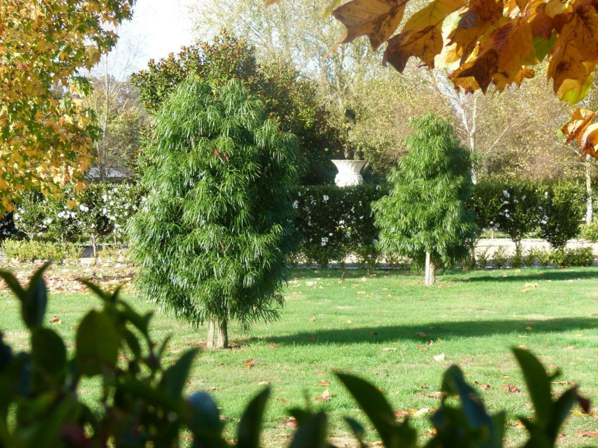 Hadleigh Boutique Lodge Tamahere Esterno foto
